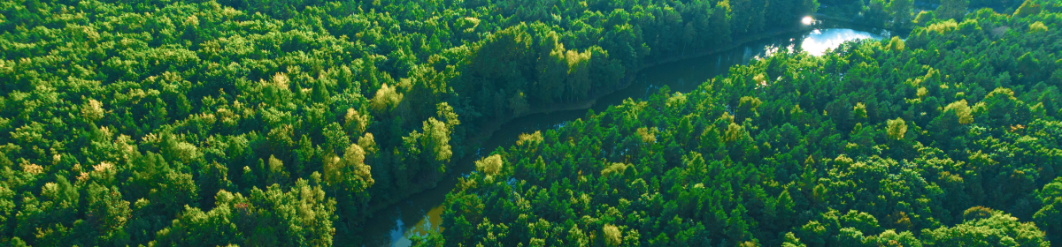 Quality analysis and calibration automation in industrial setting