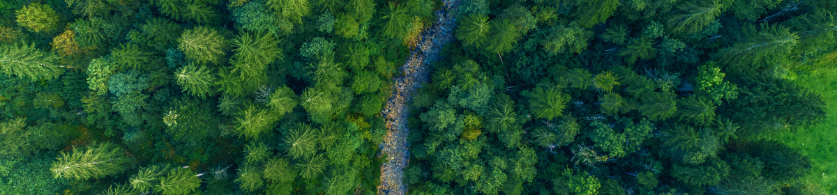 Quality analysis and calibration automation in industrial setting